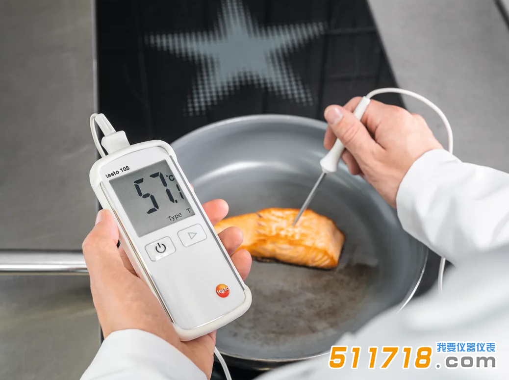 德国德图testo 108食品温度计.png