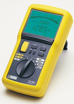 法国CA CA6531数字绝缘测试仪-100V