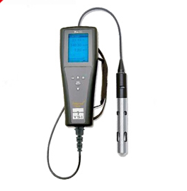美国YSI Pro20i溶解氧测量仪