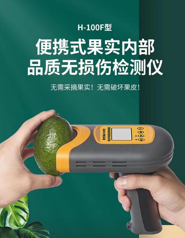 国产H-100F无损检测仪
